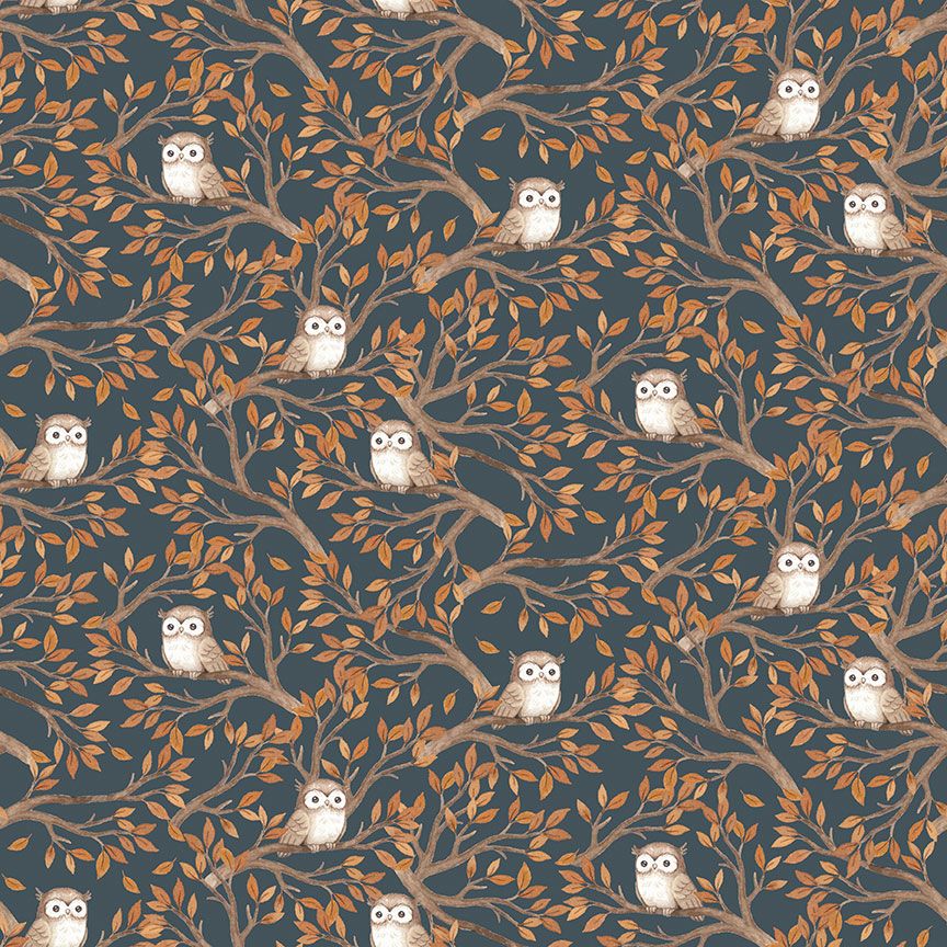 LS* Owls