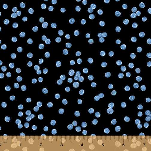 LS* Blueberries in Black