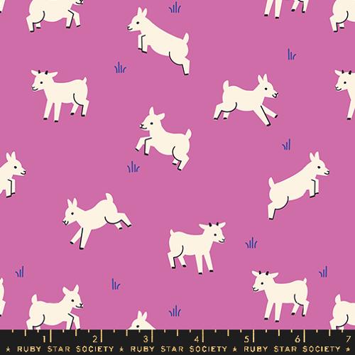 Animal Animal Baby Goats in Heliotrope