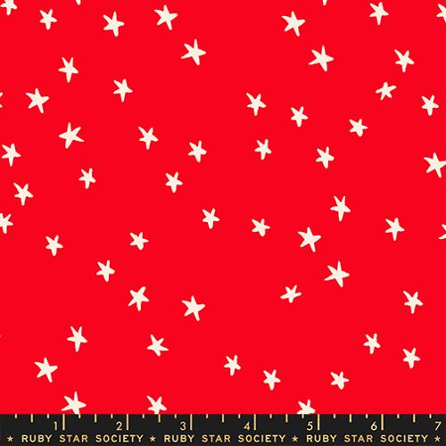 PREORDER Starry in Ladybug