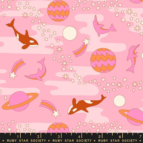PREORDER RSS Sticker Book So Long in Posy