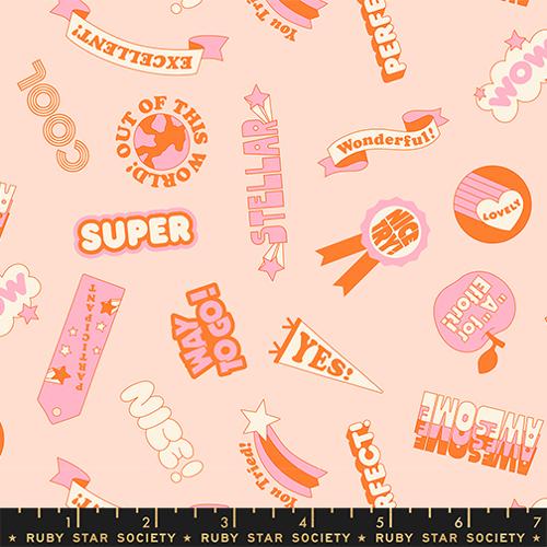 PREORDER RSS Sticker Book Reward Stickers in Pale Peach