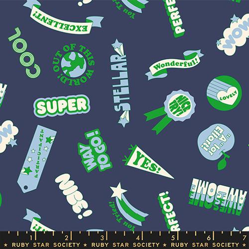 PREORDER RSS Sticker Book Reward Stickers in Bluebell