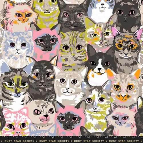 PREORDER RSS Oops All Cats Hundreds of Cats in Sandbox