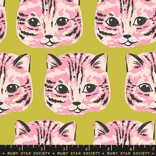 PREORDER CANVAS RSS Oops All Cats Meow Meow in Pistachio
